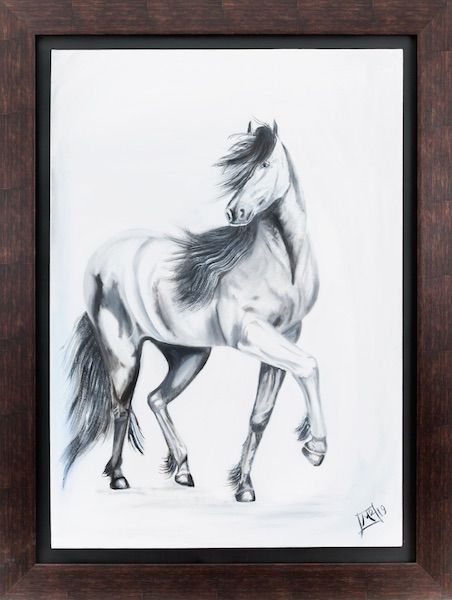 caballo blanco y negro